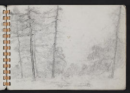 Sketchbook (Page 7)
