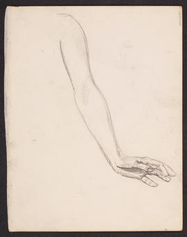 Figure drawing (Version 1)