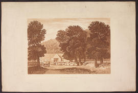 Sheep shearing; a view in Surrey