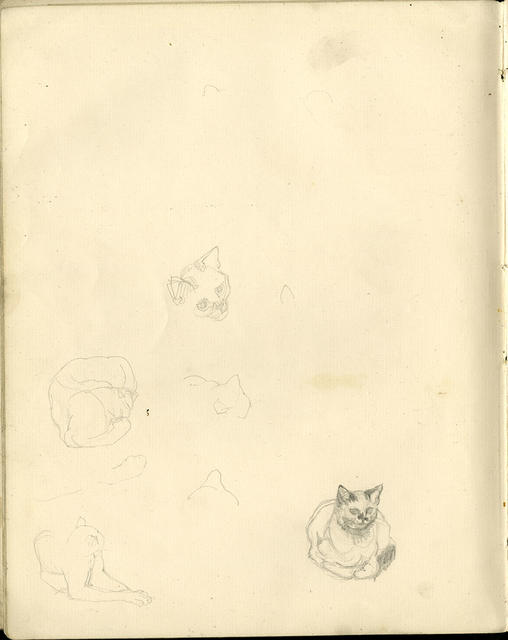 Open original Digitised item