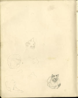Sketchbook