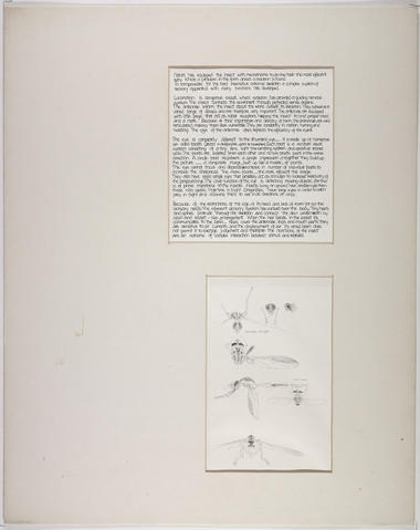 Open original Digitised item