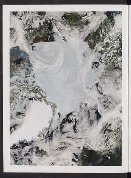 Arctic Alba; Thesis (Flyleaf, Page 2)