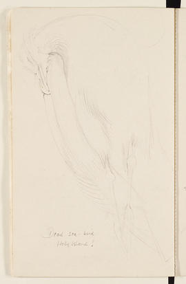 Sketchbook (Page 12)