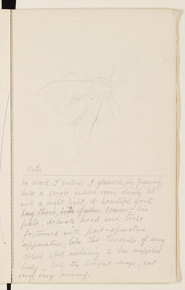 Sketchbook (Page 11)