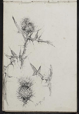 Sketchbook (Page 7)