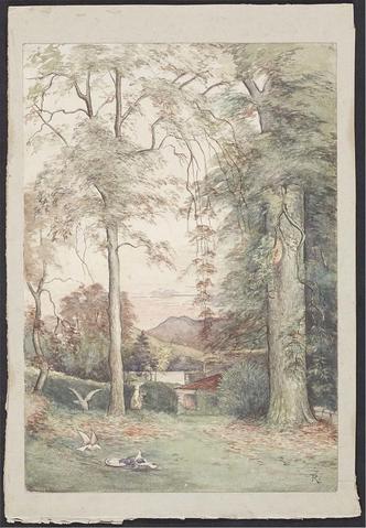 Open original Digitised item