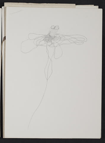 Open original Digitised item