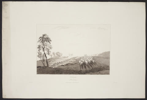 Open original Digitised item