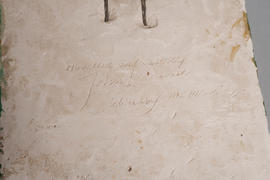 Plaster cast (Version 5)