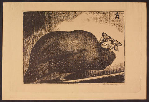 Open original Digitised item