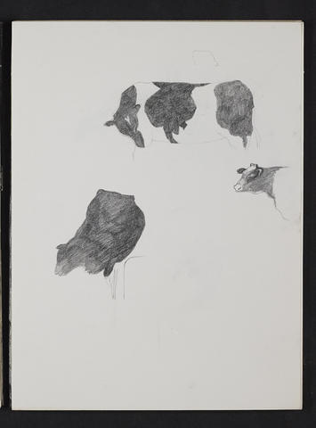 Open original Digitised item