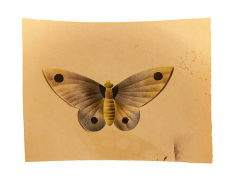 Open original Digitised item