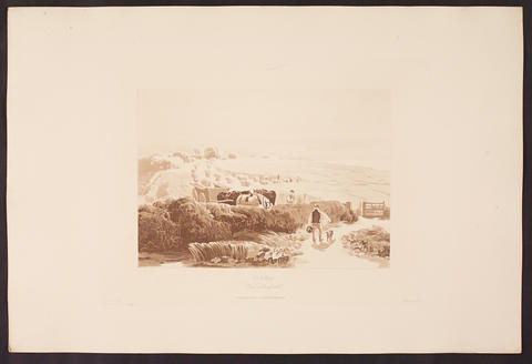 Open original Digitised item