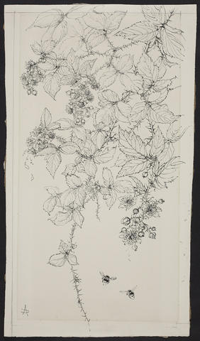 Open original Digitised item