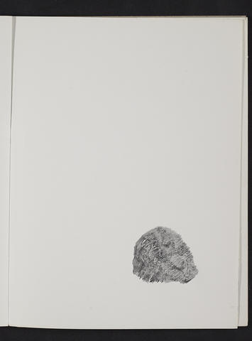 Open original Digitised item