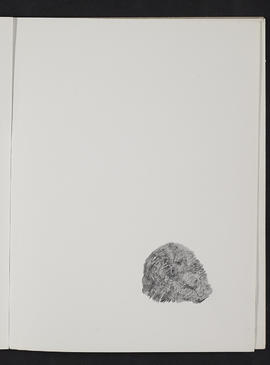 Sketchbook (Page 13)