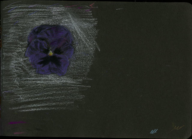 Open original Digitised item