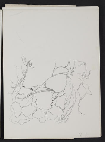 Open original Digitised item