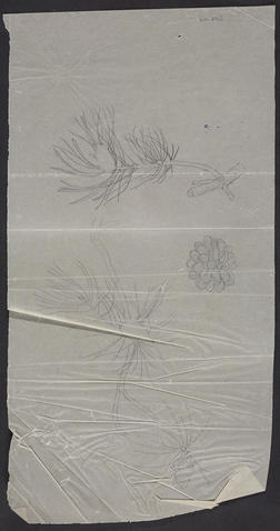 Open original Digitised item