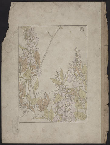 Open original Digitised item