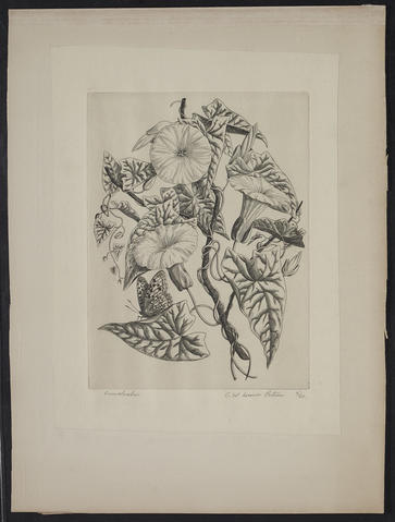 Open original Digitised item