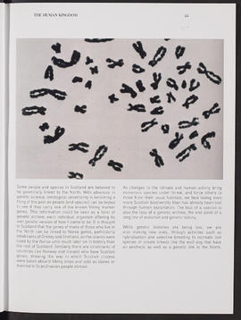 Arctic Alba; The Taxonomy of the North (Page 25)