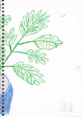 Wing Hong Creative Residency publication (Page 21)