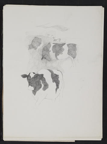 Open original Digitised item